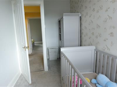 Picture 16